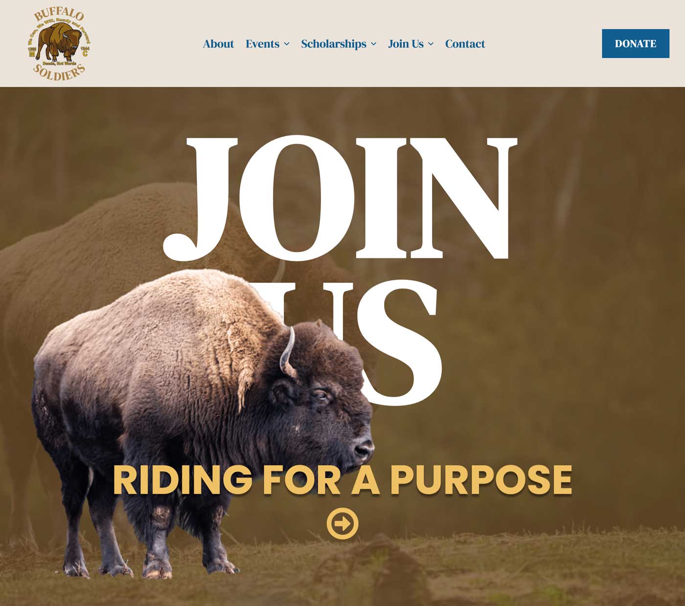 Featured image for “Toledo Buffalo Soldiers”